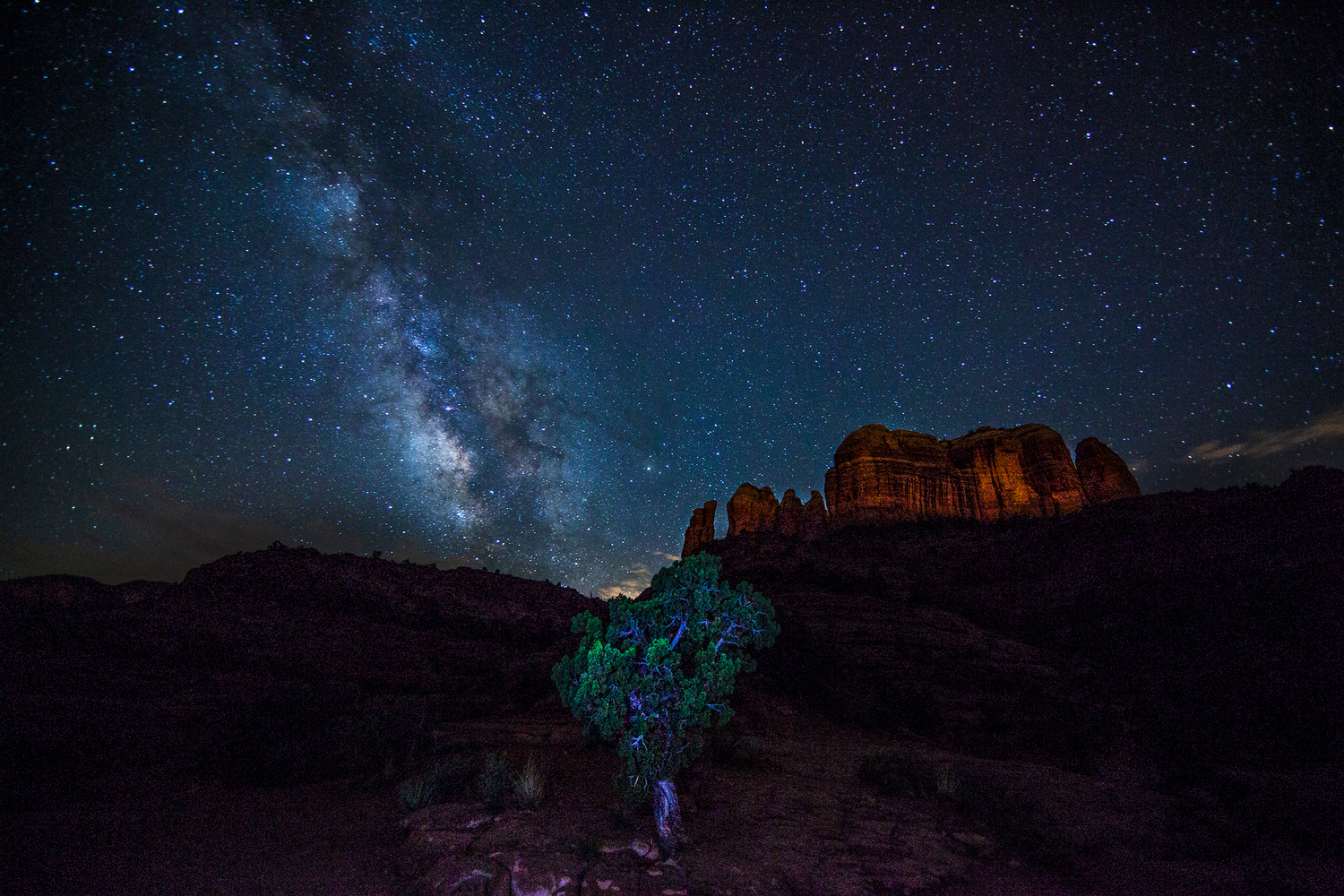 JuniperUnderTheStars-Klymenko+copy