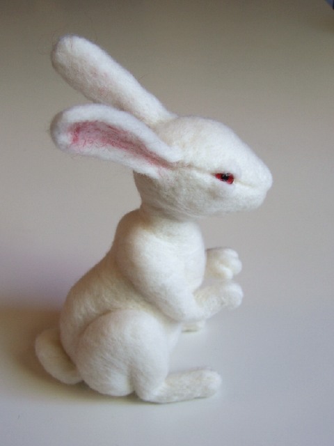 rabbit20